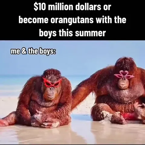 Orangutans With the Boys