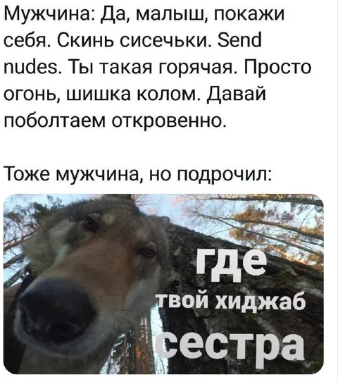 Где твой хиджаб сестра