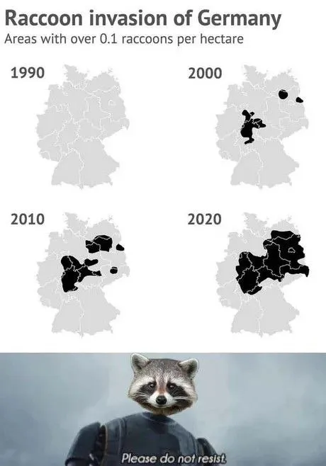 Raccoon Invasion of Germany