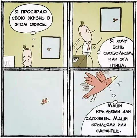 Свободным, как эта птица