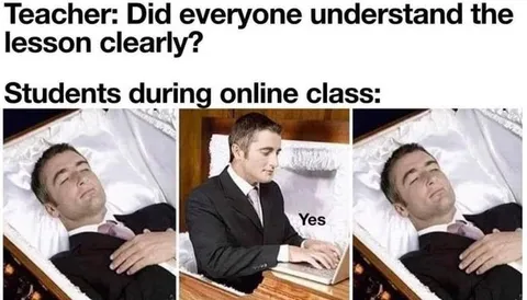Students During Online Class