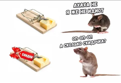 Мышь не идиот и сырка хочет