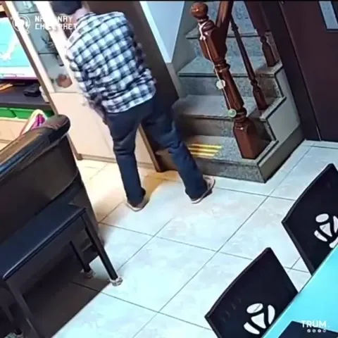 Mèo đen trắng xuất hiện bất ngờ
