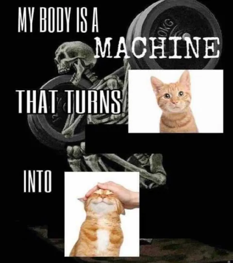 My Body Turns Into Cats