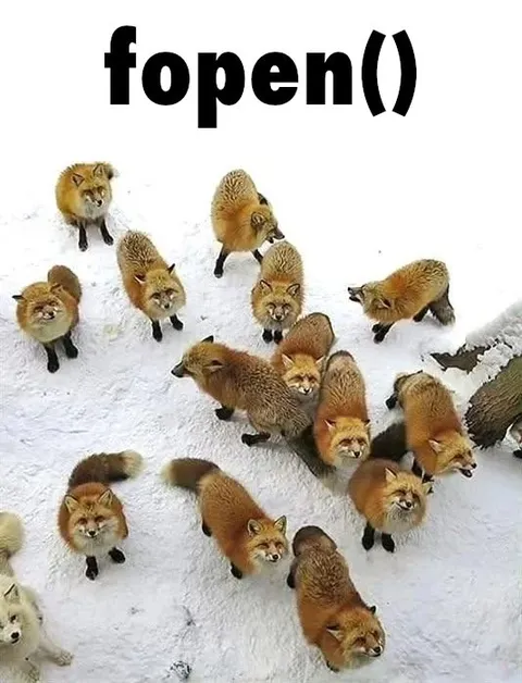 Fopen Foxes Everywhere