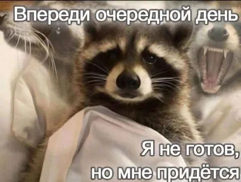 Ещё один день впереди
