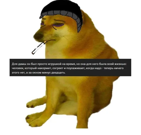 Грустный пёс зимой