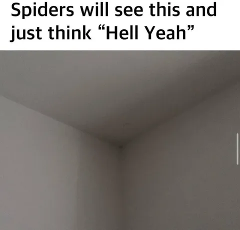 Spiders Love Empty Corners