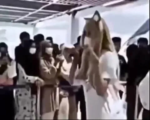 Косплей внезапно встречает охрану