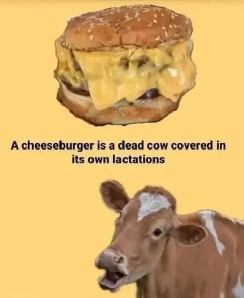 Cheeseburger Cow Realization