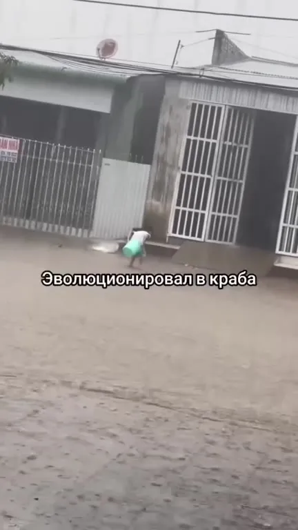 Эволюционировал в краба