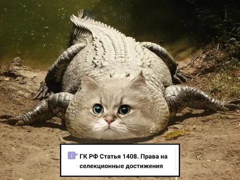 Кот-крокодил и статья 1408