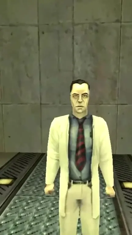 Freeman's Secret RAM Stash