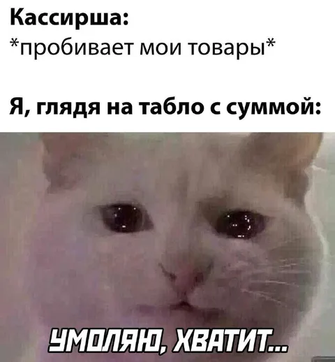 Когда сумма покупки пугает