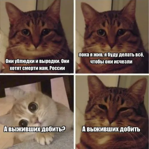 Кот обещает уничтожить врагов