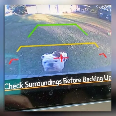 Check Surroundings Before Backing Up