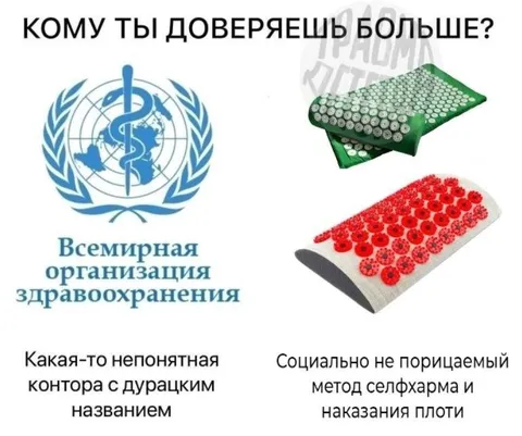 Кому ты доверяешь больше?