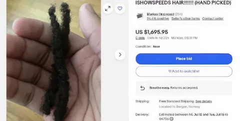 IShowSpeed's Hair for Sale
