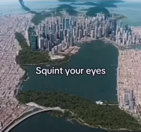 Squint Your Eyes Cat Reveal