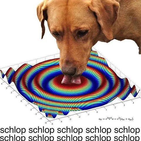 Dog Licking a Wave Equation