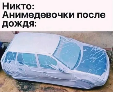 Анимедевочки после дождя