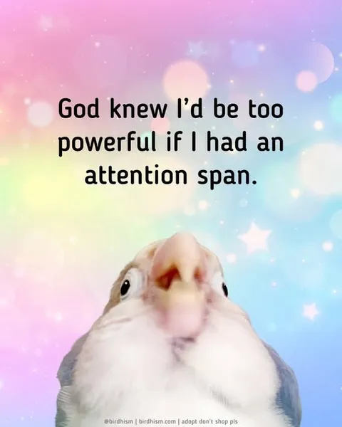 Too Powerful With Attention Span