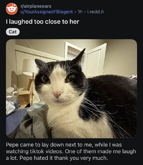 I Laughed Too Close to Her