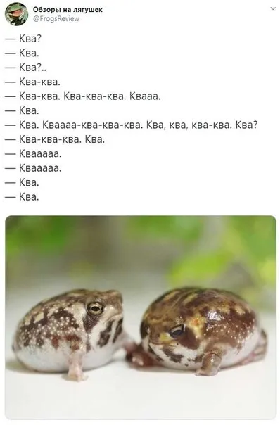 Разговор двух лягушек