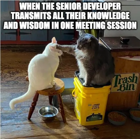 Senior Developer Transfers All Knowledge
