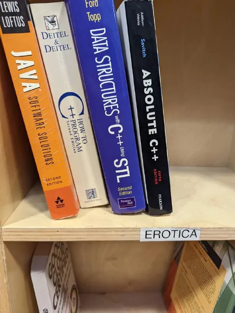 Programming Books in Erotica