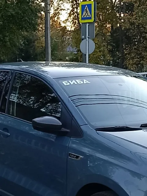 Биба на машине у перехода