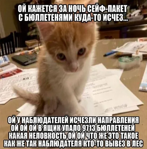 Бюллетени исчезли за ночь