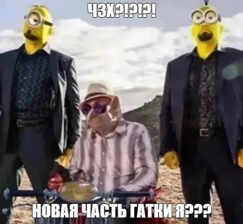 Новая часть Гатки