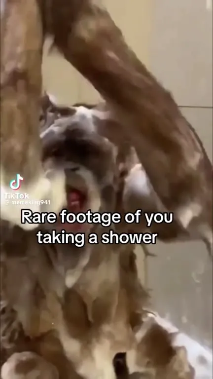 Rare Footage of You Showering
