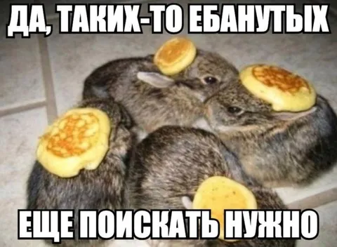 Ещё поискать нужно