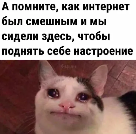 Как интернет был смешным