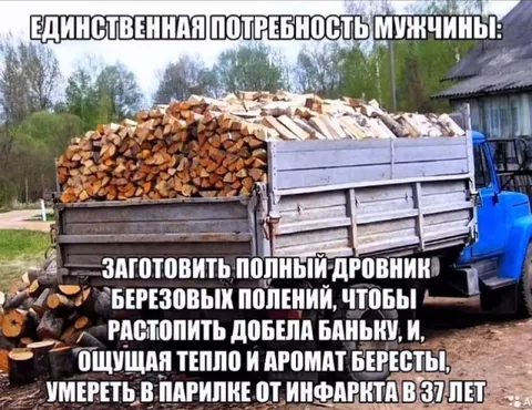 Единственная потребность мужчины
