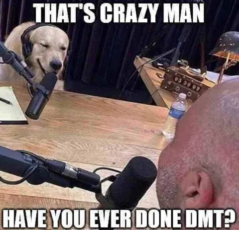 Dog Asks About DMT