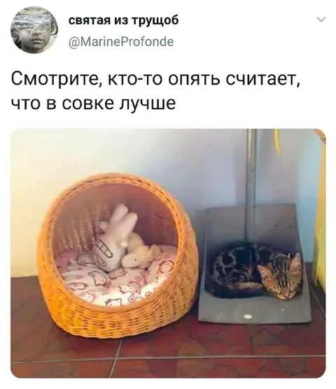Кто-то считает, что в совке лучше