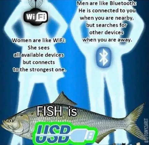 Men Are Like Bluetooth Women Like WiFi