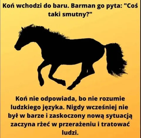 Koń wchodzi do baru