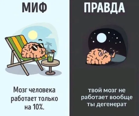 Миф и правда о мозге