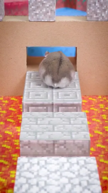 Хомяк проходит Minecraft