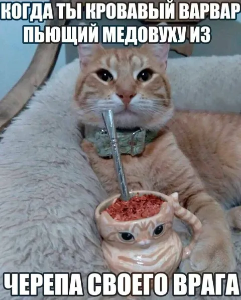 Кот пьёт медовуху из черепа