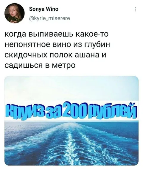 Вино из Ашана и круиз