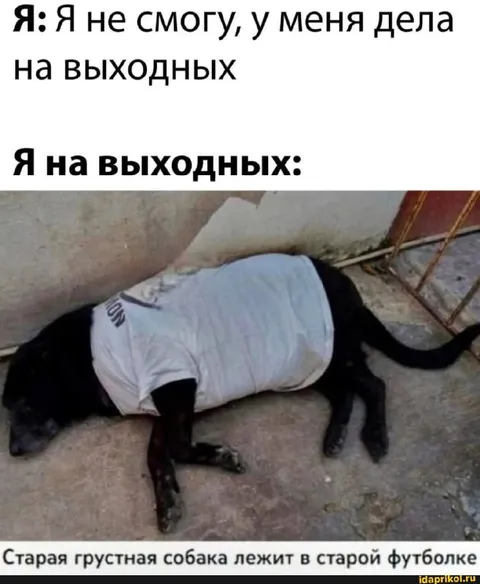 Я на выходных