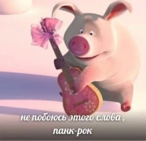 Поросёнок играет панк-рок