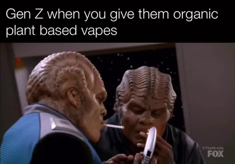 Gen Z organic plant based vapes