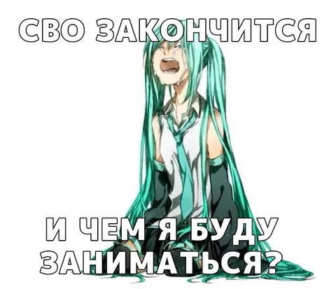 Сво закончится, чем я буду заниматься