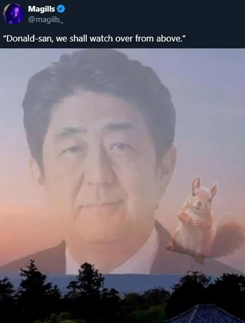 Donald-san Watching Over From Above